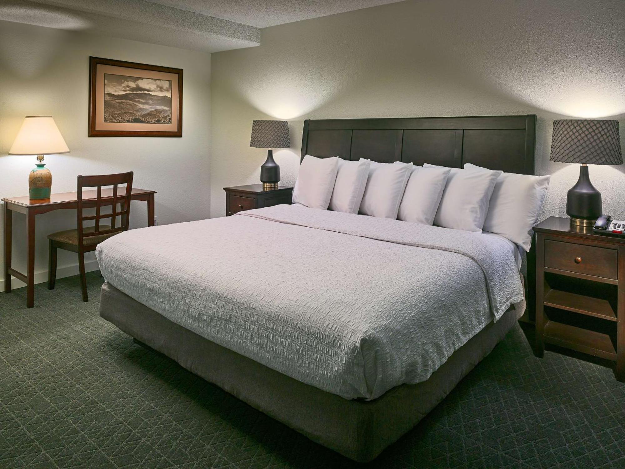 Hampton Inn Gatlinburg Exterior foto